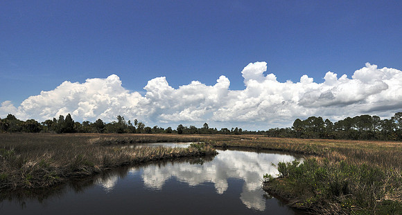 BLACK POINT SWAMP CREEK