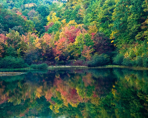 REFLECTIONS