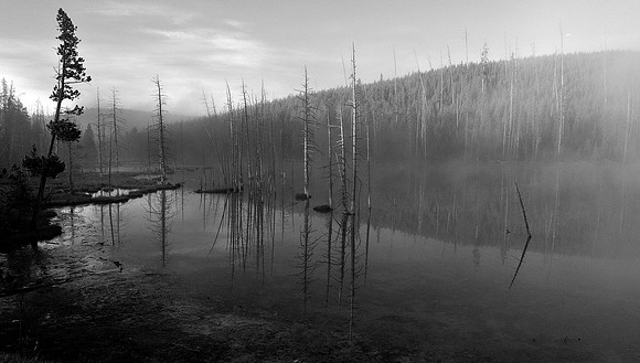 NYMPH LAKE