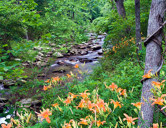 HICKORY CREEK