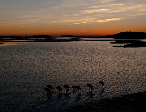 CEDAR KEY SUNRISE
