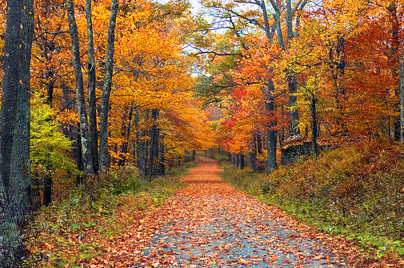 COUNTRY ROAD