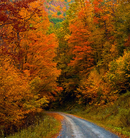 COUNTRY ROAD