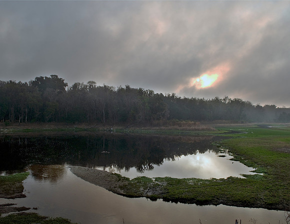 ALACHUA SINK