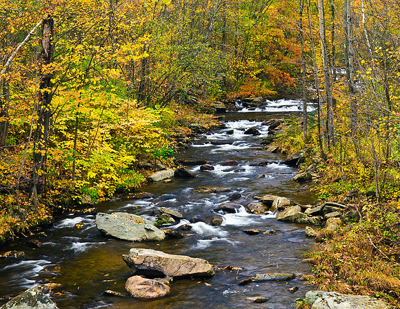 RAPIDS