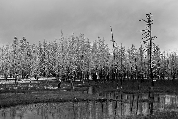 YELLOWSTONE NATIONAL PARK