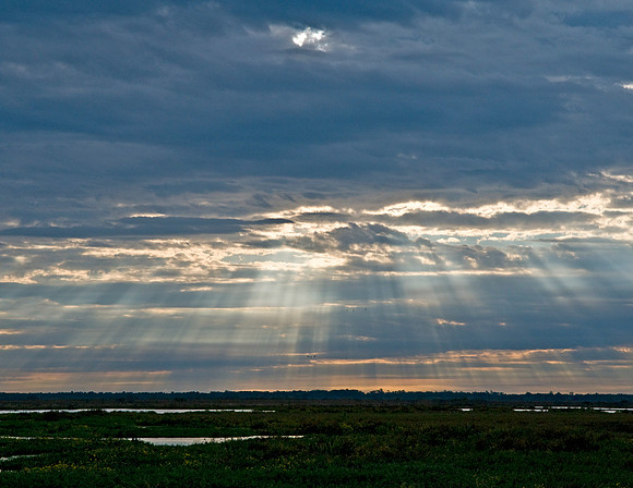 ALACHUA LAKE PAYNES PRAIRIE